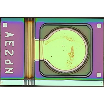 DFB Laser Diode Chip